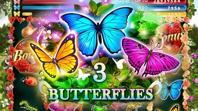 3 butterflies